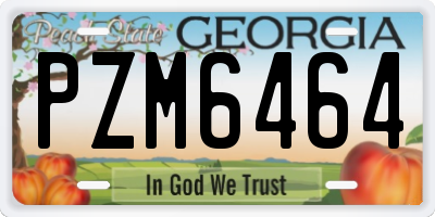 GA license plate PZM6464