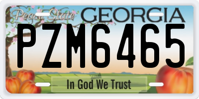 GA license plate PZM6465