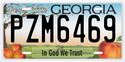 GA license plate PZM6469