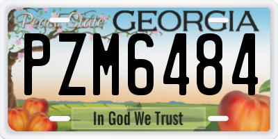 GA license plate PZM6484