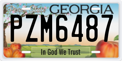 GA license plate PZM6487
