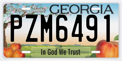 GA license plate PZM6491