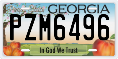 GA license plate PZM6496