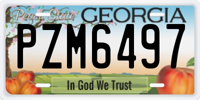 GA license plate PZM6497
