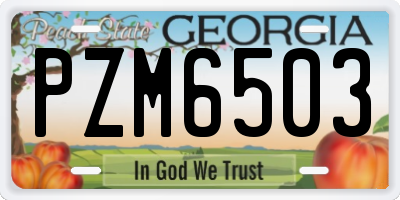 GA license plate PZM6503