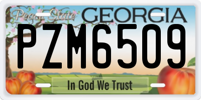 GA license plate PZM6509