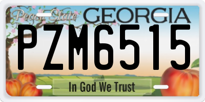 GA license plate PZM6515