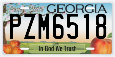 GA license plate PZM6518