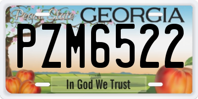 GA license plate PZM6522