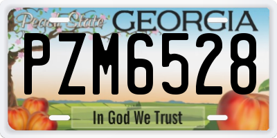 GA license plate PZM6528