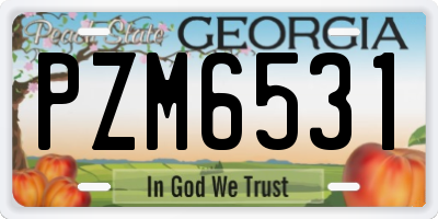 GA license plate PZM6531