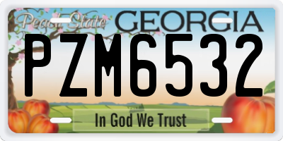 GA license plate PZM6532