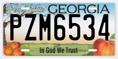 GA license plate PZM6534