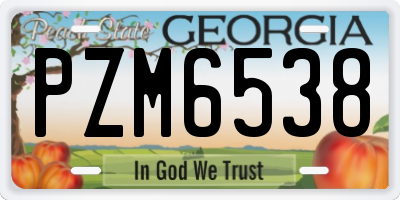 GA license plate PZM6538