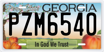 GA license plate PZM6540