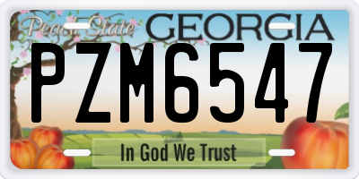 GA license plate PZM6547
