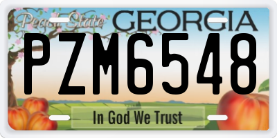 GA license plate PZM6548
