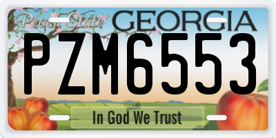 GA license plate PZM6553