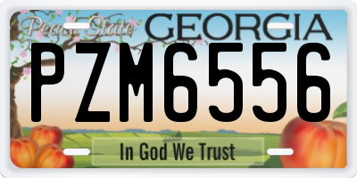 GA license plate PZM6556
