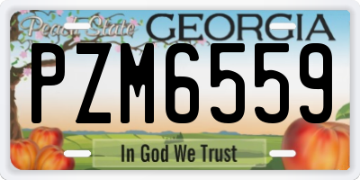 GA license plate PZM6559