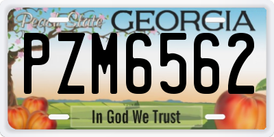GA license plate PZM6562