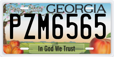 GA license plate PZM6565
