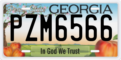 GA license plate PZM6566