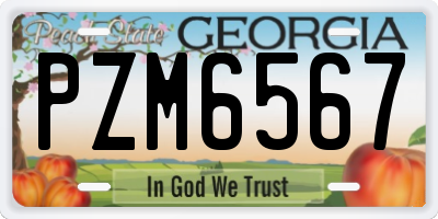 GA license plate PZM6567