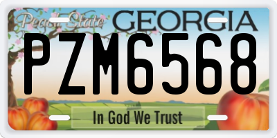 GA license plate PZM6568