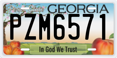 GA license plate PZM6571