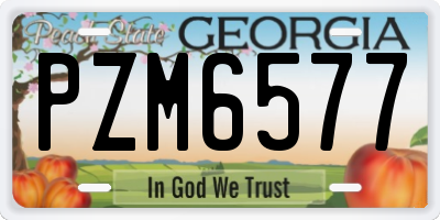 GA license plate PZM6577