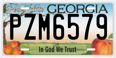 GA license plate PZM6579