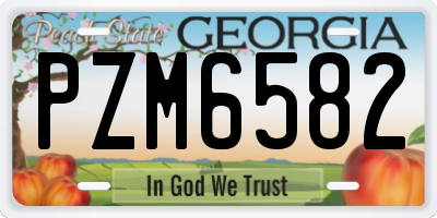 GA license plate PZM6582