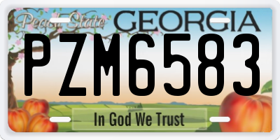 GA license plate PZM6583