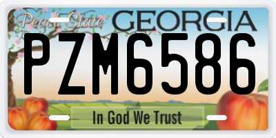 GA license plate PZM6586