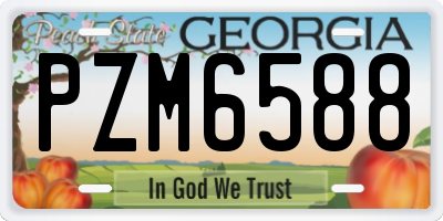 GA license plate PZM6588