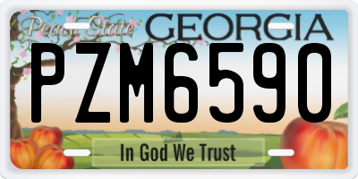 GA license plate PZM6590