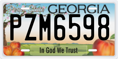 GA license plate PZM6598