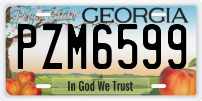 GA license plate PZM6599