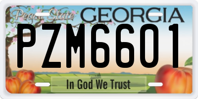 GA license plate PZM6601