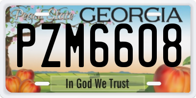 GA license plate PZM6608