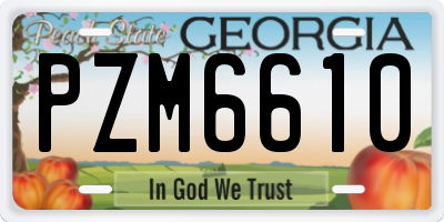 GA license plate PZM6610