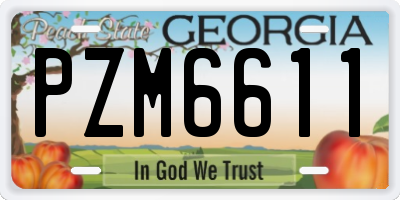 GA license plate PZM6611