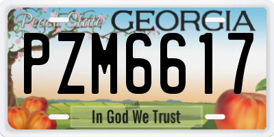 GA license plate PZM6617