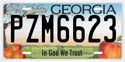 GA license plate PZM6623