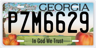 GA license plate PZM6629