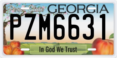 GA license plate PZM6631