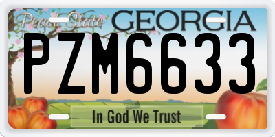GA license plate PZM6633