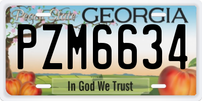 GA license plate PZM6634