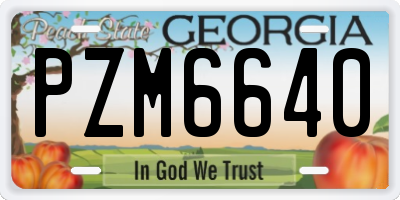 GA license plate PZM6640